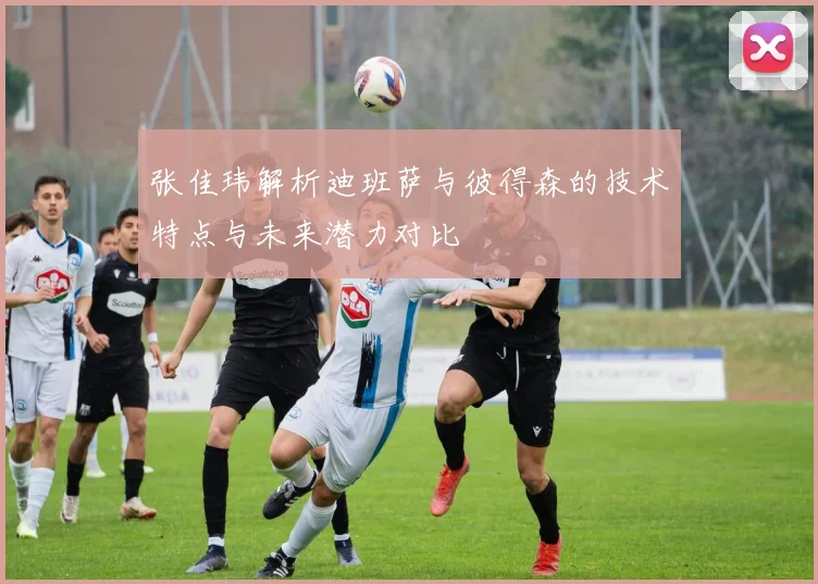 张佳玮解析迪班萨与彼得森的技术特点与未来潜力对比